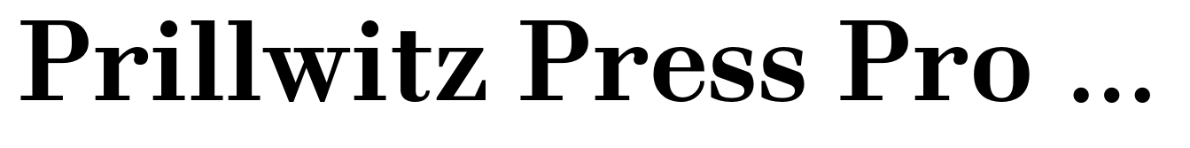 Prillwitz Press Pro Bold